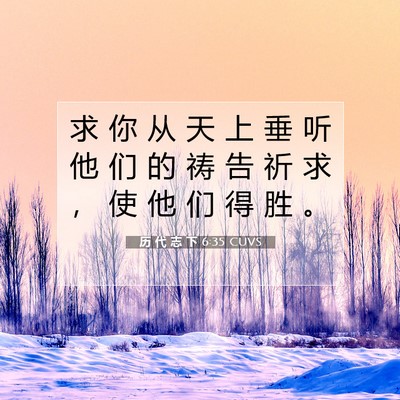 Picture 07 - 历 代 志 下 6:35 CUVS - 求 你 从 天 上 垂 听 他 们 的 祷 告 - Bible Verse Picture