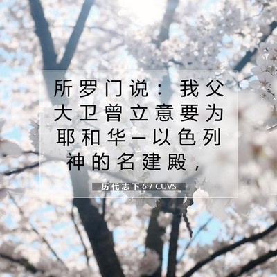 Picture 07 - 历 代 志 下 6:7 CUVS - 所 罗 门 说 ： 我 父 大 卫 曾 立 意 - Bible Verse Picture