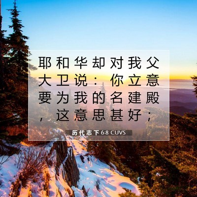 Picture 07 - 历 代 志 下 6:8 CUVS - 耶 和 华 却 对 我 父 大 卫 说 ： 你 - Bible Verse Picture