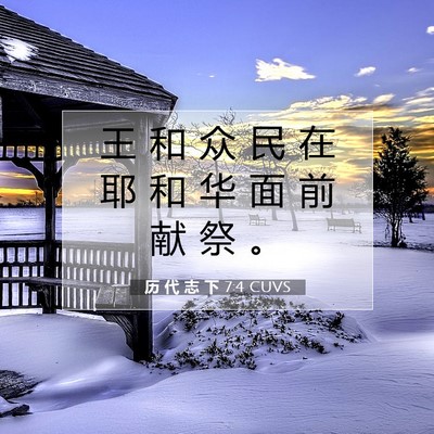 Picture 07 - 历 代 志 下 7:4 CUVS - 王 和 众 民 在 耶 和 华 面 前 献 祭 - Bible Verse Picture