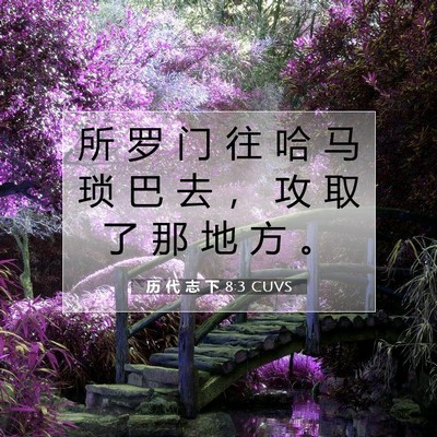 Picture 07 - 历 代 志 下 8:3 CUVS - 所 罗 门 往 哈 马 琐 巴 去 ， 攻 取 - Bible Verse Picture