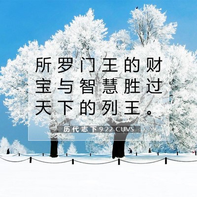 Picture 07 - 历 代 志 下 9:22 CUVS - 所 罗 门 王 的 财 宝 与 智 慧 胜 过 - Bible Verse Picture