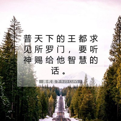 Picture 07 - 历 代 志 下 9:23 CUVS - 普 天 下 的 王 都 求 见 所 罗 门 ， - Bible Verse Picture