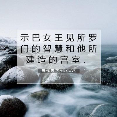 Picture 07 - 历 代 志 下 9:3 CUVS - 示 巴 女 王 见 所 罗 门 的 智 慧 和 - Bible Verse Picture
