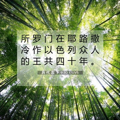 Picture 07 - 历 代 志 下 9:30 CUVS - 所 罗 门 在 耶 路 撒 冷 作 以 色 列 - Bible Verse Picture