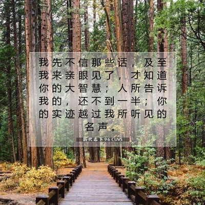 Picture 07 - 历 代 志 下 9:6 CUVS - 我 先 不 信 那 些 话 ， 及 至 我 来 - Bible Verse Picture