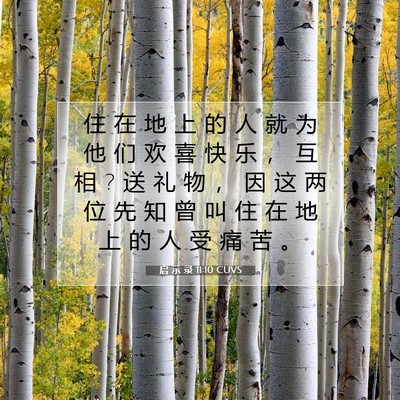 Picture 07 - 启 示 录 11:10 CUVS - 住 在 地 上 的 人 就 为 他 们 欢 喜 - Bible Verse Picture