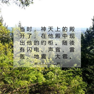 Picture 07 - 启 示 录 11:19 CUVS - 当 时 ， 神 天 上 的 殿 开 了 ， 在 - Bible Verse Picture