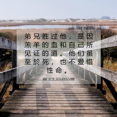 Picture 07 - 启 示 录 12:11 CUVS - 弟 兄 胜 过 他 ， 是 因 羔 羊 的 血 - Bible Verse Picture