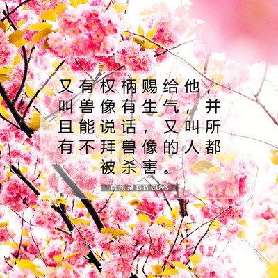 Picture 07 - 启 示 录 13:15 CUVS - 又 有 权 柄 赐 给 他 ， 叫 兽 像 有 - Bible Verse Picture
