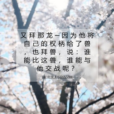 Picture 07 - 启 示 录 13:4 CUVS - 又 拜 那 龙 ─ 因 为 他 将 自 己 的 - Bible Verse Picture