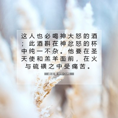 Picture 07 - 启 示 录 14:10 CUVS - 这 人 也 必 喝 神 大 怒 的 酒 ； 此 - Bible Verse Picture