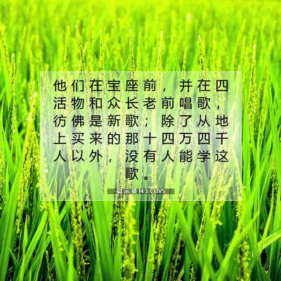 Picture 07 - 启 示 录 14:3 CUVS - 他 们 在 宝 座 前 ， 并 在 四 活 物 - Bible Verse Picture