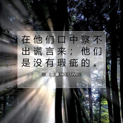 Picture 07 - 启 示 录 14:5 CUVS - 在 他 们 口 中 察 不 出 谎 言 来 ； - Bible Verse Picture