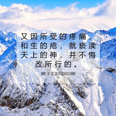 Picture 07 - 启 示 录 16:11 CUVS - 又 因 所 受 的 疼 痛 ， 和 生 的 疮 - Bible Verse Picture
