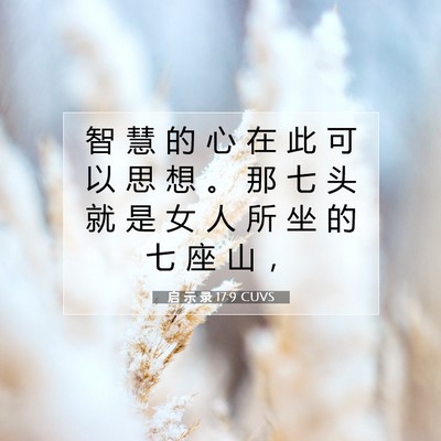 Picture 07 - 启 示 录 17:9 CUVS - 智 慧 的 心 在 此 可 以 思 想 。 那 - Bible Verse Picture