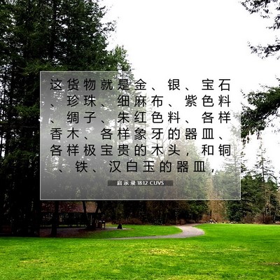 Picture 07 - 启 示 录 18:12 CUVS - 这 货 物 就 是 金 、 银 、 宝 石 、 - Bible Verse Picture