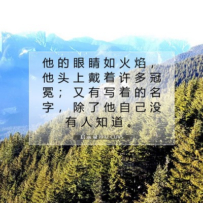 Picture 07 - 启 示 录 19:12 CUVS - 他 的 眼 睛 如 火 焰 ， 他 头 上 戴 - Bible Verse Picture