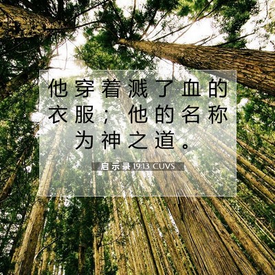 Picture 07 - 启 示 录 19:13 CUVS - 他 穿 着 溅 了 血 的 衣 服 ； 他 的 - Bible Verse Picture