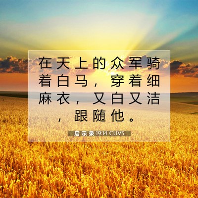 Picture 07 - 启 示 录 19:14 CUVS - 在 天 上 的 众 军 骑 着 白 马 ， 穿 - Bible Verse Picture