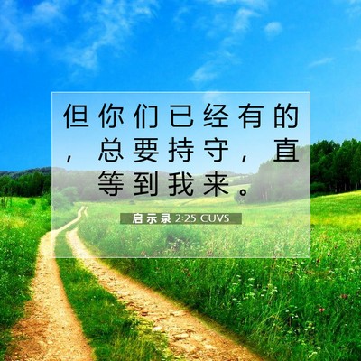 Picture 07 - 启 示 录 2:25 CUVS - 但 你 们 已 经 有 的 ， 总 要 持 守 - Bible Verse Picture