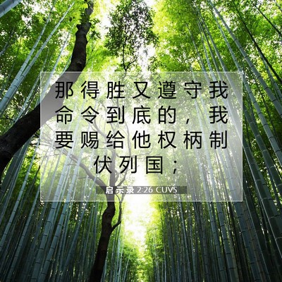Picture 07 - 启 示 录 2:26 CUVS - 那 得 胜 又 遵 守 我 命 令 到 底 的 - Bible Verse Picture