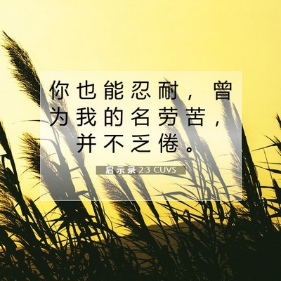 Picture 07 - 启 示 录 2:3 CUVS - 你 也 能 忍 耐 ， 曾 为 我 的 名 劳 - Bible Verse Picture