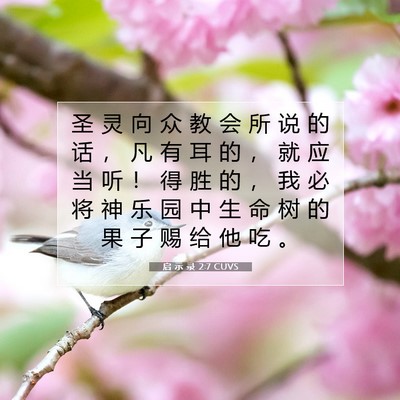 Picture 07 - 启 示 录 2:7 CUVS - 圣 灵 向 众 教 会 所 说 的 话 ， 凡 - Bible Verse Picture