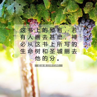 Picture 07 - 启 示 录 22:19 CUVS - 这 书 上 的 预 言 ， 若 有 人 删 去 - Bible Verse Picture