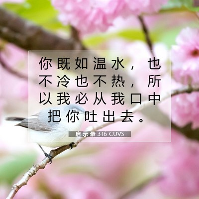 Picture 07 - 启 示 录 3:16 CUVS - 你 既 如 温 水 ， 也 不 冷 也 不 热 - Bible Verse Picture