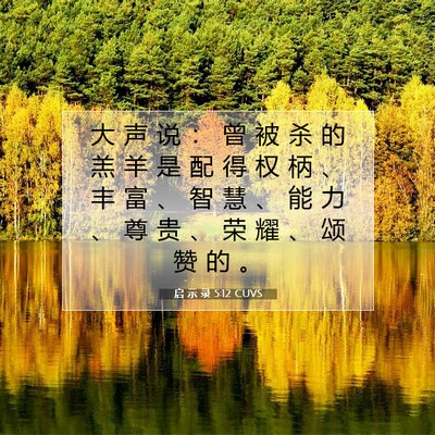 Picture 07 - 启 示 录 5:12 CUVS - 大 声 说 ： 曾 被 杀 的 羔 羊 是 配 - Bible Verse Picture