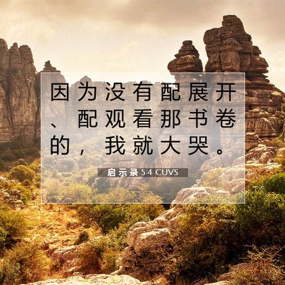 Picture 07 - 启 示 录 5:4 CUVS - 因 为 没 有 配 展 开 、 配 观 看 那 - Bible Verse Picture
