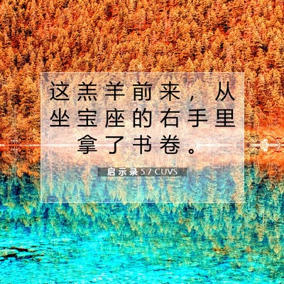 Picture 07 - 启 示 录 5:7 CUVS - 这 羔 羊 前 来 ， 从 坐 宝 座 的 右 - Bible Verse Picture