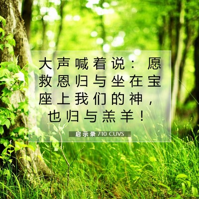 Picture 07 - 启 示 录 7:10 CUVS - 大 声 喊 着 说 ： 愿 救 恩 归 与 坐 - Bible Verse Picture