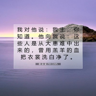 Picture 07 - 启 示 录 7:14 CUVS - 我 对 他 说 ： 我 主 ， 你 知 道 。 - Bible Verse Picture