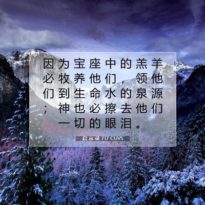 Picture 07 - 启 示 录 7:17 CUVS - 因 为 宝 座 中 的 羔 羊 必 牧 养 他 - Bible Verse Picture