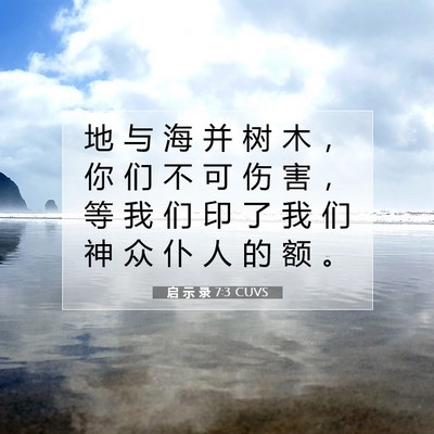 Picture 07 - 启 示 录 7:3 CUVS - 地 与 海 并 树 木 ， 你 们 不 可 伤 - Bible Verse Picture