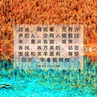 Picture 07 - 启 示 录 7:9 CUVS - 此 後 ， 我 观 看 ， 见 有 许 多 的 - Bible Verse Picture