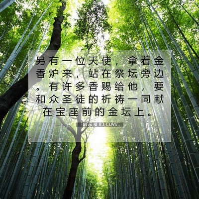 Picture 07 - 启 示 录 8:3 CUVS - 另 有 一 位 天 使 ， 拿 着 金 香 炉 - Bible Verse Picture