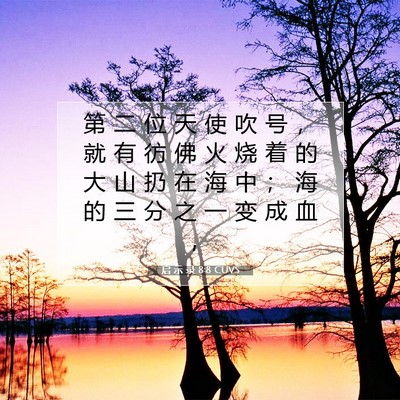 Picture 07 - 启 示 录 8:8 CUVS - 第 二 位 天 使 吹 号 ， 就 有 彷 佛 - Bible Verse Picture
