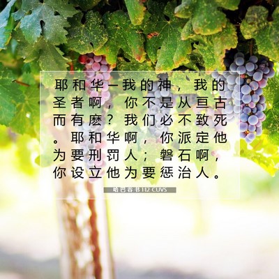 Picture 07 - 哈 巴 谷 书 1:12 CUVS - 耶 和 华 ─ 我 的 神 ， 我 的 圣 者 - Bible Verse Picture
