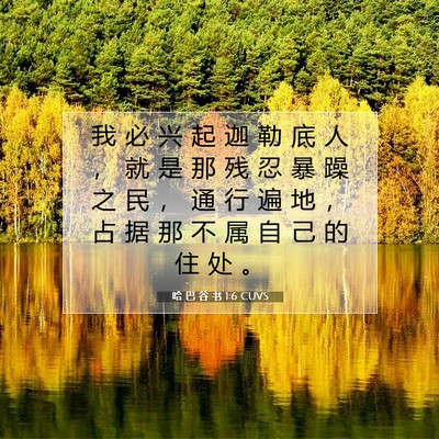 Picture 07 - 哈 巴 谷 书 1:6 CUVS - 我 必 兴 起 迦 勒 底 人 ， 就 是 那 - Bible Verse Picture