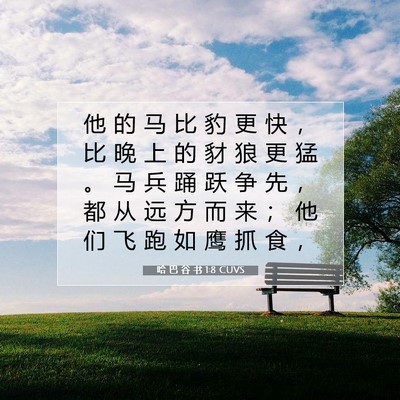 Picture 07 - 哈 巴 谷 书 1:8 CUVS - 他 的 马 比 豹 更 快 ， 比 晚 上 的 - Bible Verse Picture