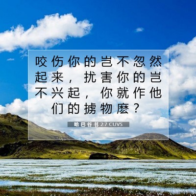 Picture 07 - 哈 巴 谷 书 2:7 CUVS - 咬 伤 你 的 岂 不 忽 然 起 来 ， 扰 - Bible Verse Picture