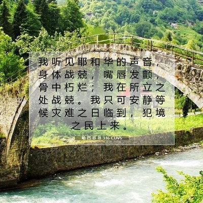 Picture 07 - 哈 巴 谷 书 3:16 CUVS - 我 听 见 耶 和 华 的 声 音 ， 身 体 - Bible Verse Picture