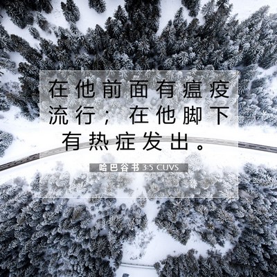 Picture 07 - 哈 巴 谷 书 3:5 CUVS - 在 他 前 面 有 瘟 疫 流 行 ； 在 他 - Bible Verse Picture