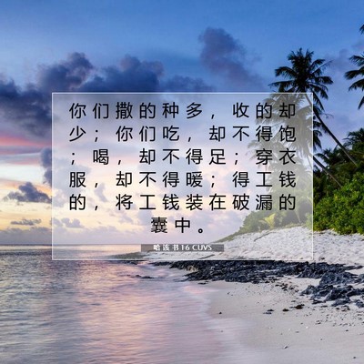 Picture 07 - 哈 该 书 1:6 CUVS - 你 们 撒 的 种 多 ， 收 的 却 少 ； - Bible Verse Picture