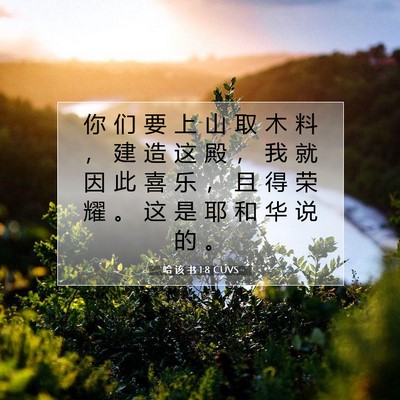 Picture 07 - 哈 该 书 1:8 CUVS - 你 们 要 上 山 取 木 料 ， 建 造 这 - Bible Verse Picture