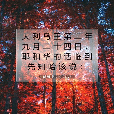 Picture 07 - 哈 该 书 2:10 CUVS - 大 利 乌 王 第 二 年 九 月 二 十 四 - Bible Verse Picture