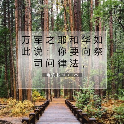 Picture 07 - 哈 该 书 2:11 CUVS - 万 军 之 耶 和 华 如 此 说 ： 你 要 - Bible Verse Picture